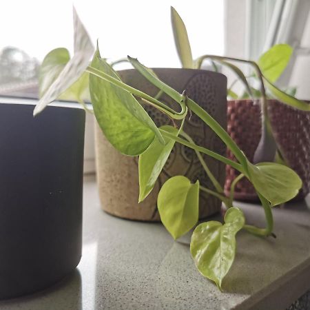 Apartment Maigloeckchen Fritzlar Eksteriør bilde